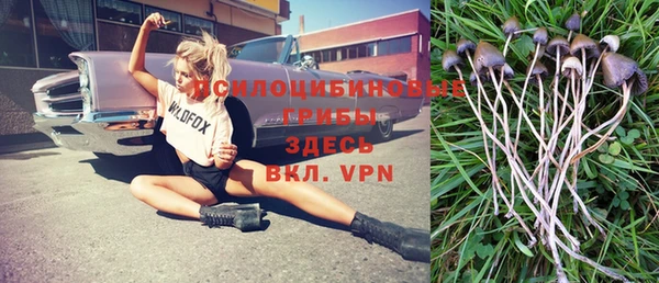 a pvp Бугульма