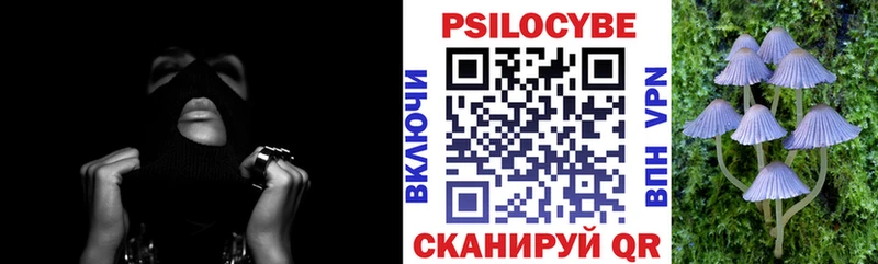 Псилоцибиновые грибы GOLDEN TEACHER  blacksprut ссылки  Камышлов 